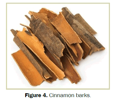 pharmacognosy-phytochemistry-Cinnamon-barks