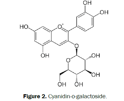 pharmacognosy-phytochemistry-Cyanidin-o-galactoside