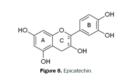 pharmacognosy-phytochemistry-Epicatechin