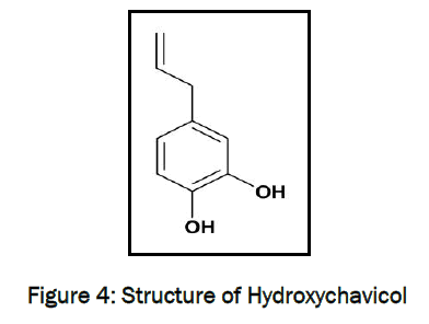 pharmacognosy-phytochemistry-Hydroxychavicol