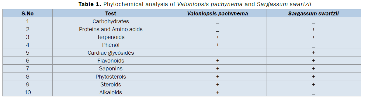 pharmacognosy-phytochemistry-Phytochemical-analysis-Valoniopsis