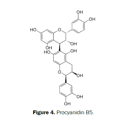 pharmacognosy-phytochemistry-Procyanidin-B5