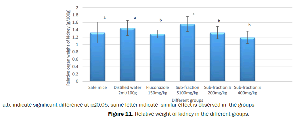 pharmacognosy-phytochemistry-Relative-weight-kidney