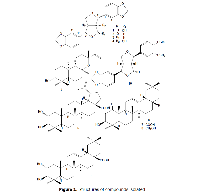 pharmacognosy-phytochemistry-Structures-compounds-isolated