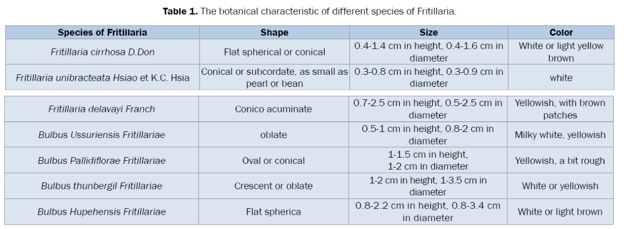 pharmacognosy-phytochemistry-different-species-Fritillaria