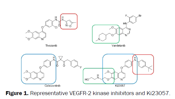 pharmacy-and-pharmaceutical-sciences-kinase-inhibitors