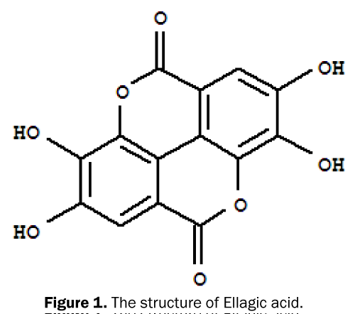 pharmacy-pharmaceutical-sciences-structure-Ellagic