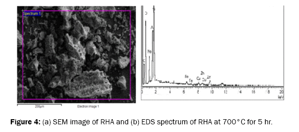 pure-and-applied-physics-SEM-image-RHA