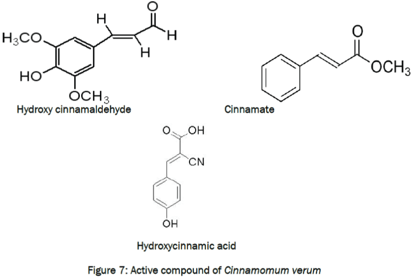 zoological-sciences-Active-compound-Cinnamomum-verum