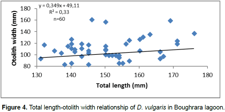zoological-sciences-Total-length-otolith