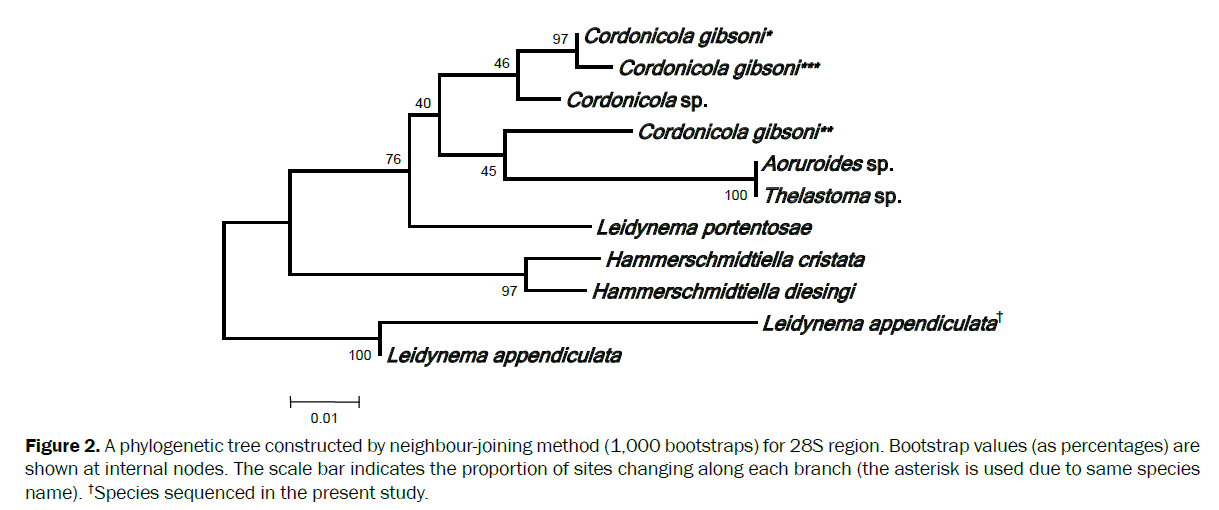 zoological-sciences-phylogenetic-tree-constructed