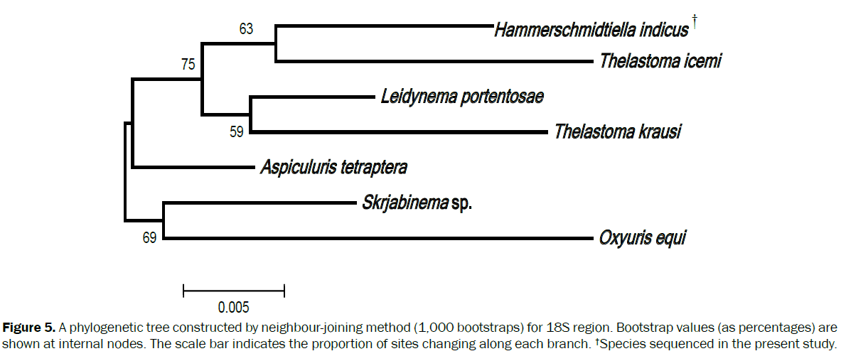 zoological-sciences-scale-bar-indicates-proportion