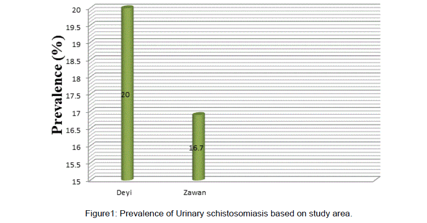 medical-health-sciences-schistosomiasis