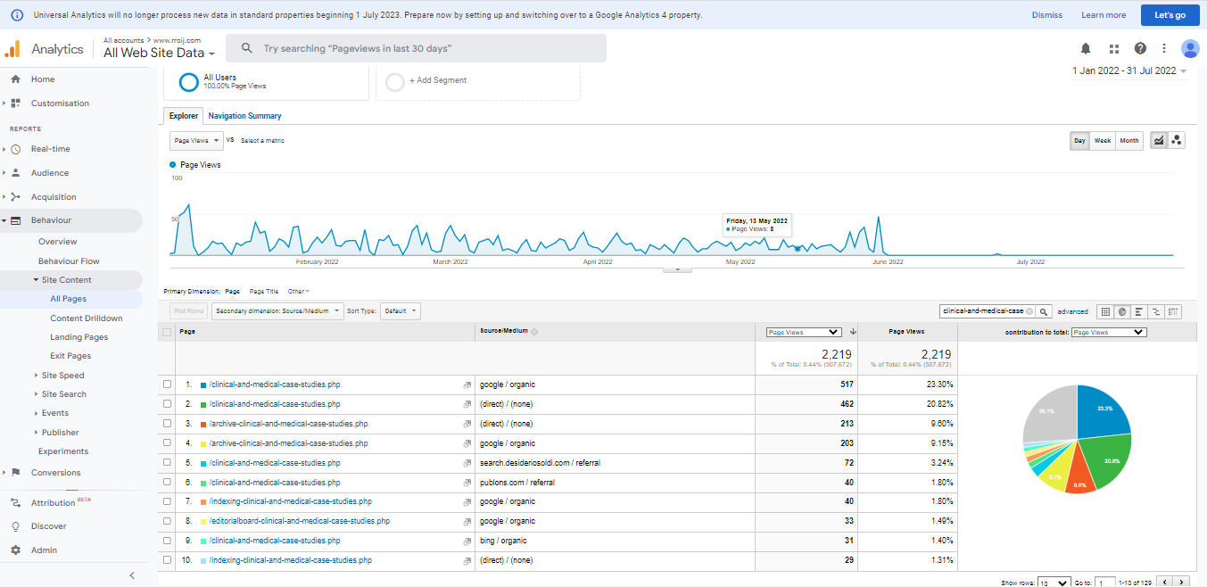 Visitor Analysis Report