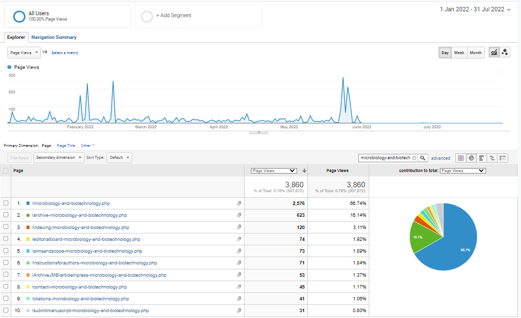 Visitor Analysis Report