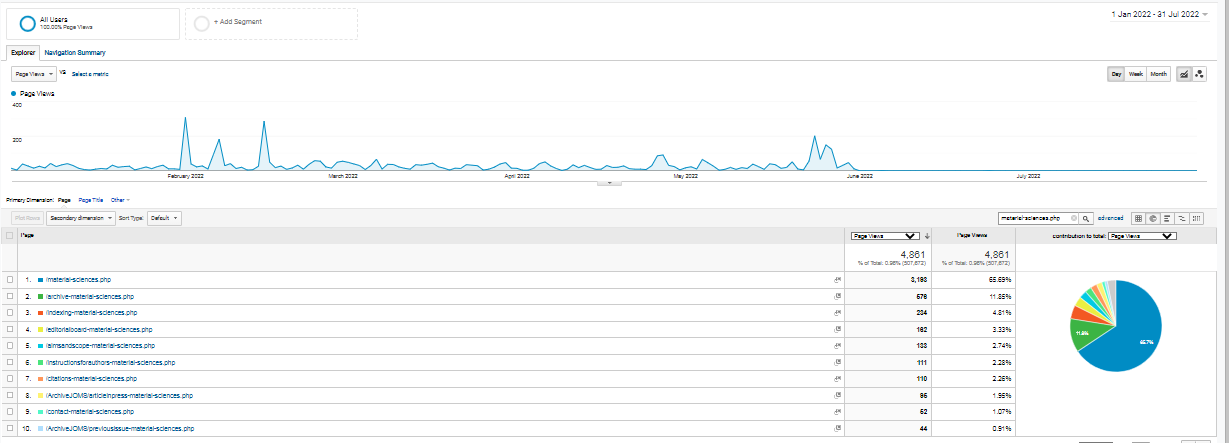 Visitor Analysis Report