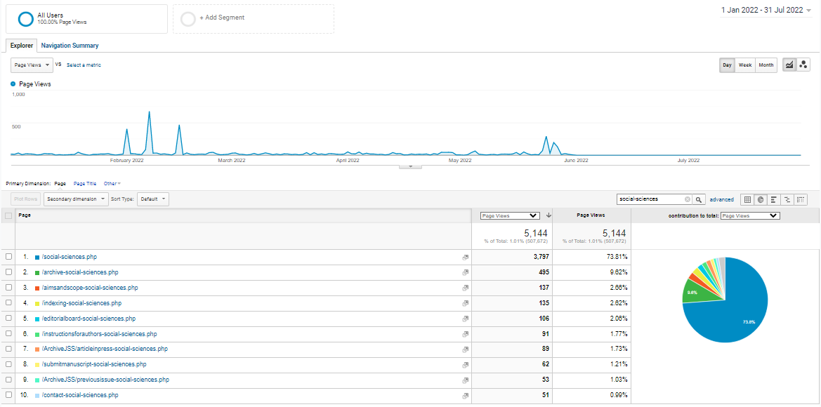 Visitor Analysis Report