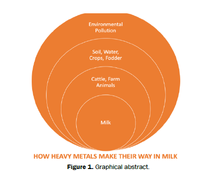 Food-Dairy-Graphical