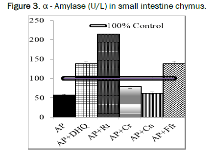 biology-chymus