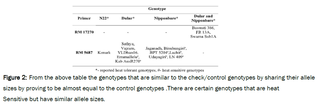 biology- genotypes