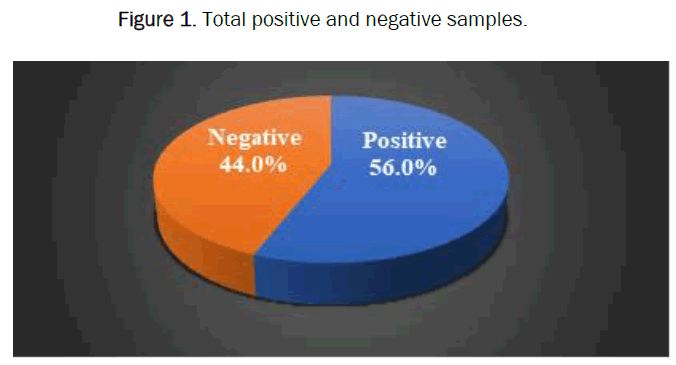 positive