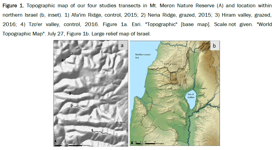 biology-topographic