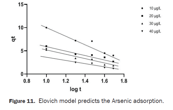 chemistry-elovich-model