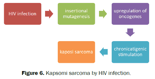 nursing-health-sciences-kapsomi-sarcoma