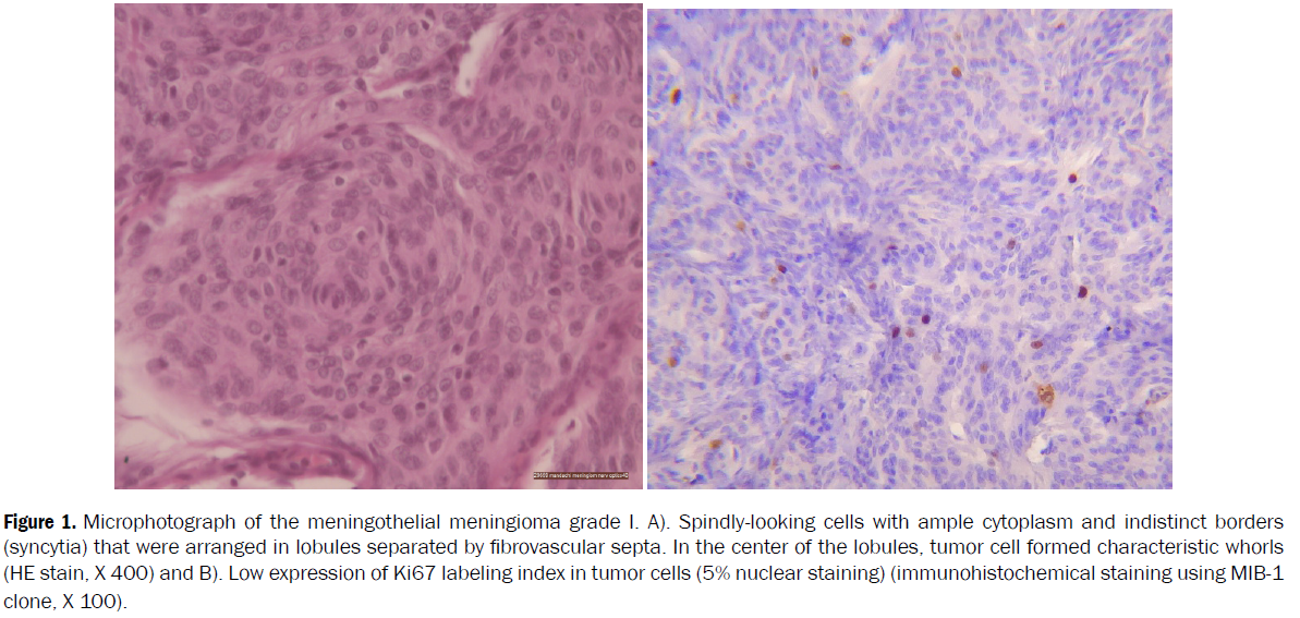 nursing-health-sciences-microphotograph