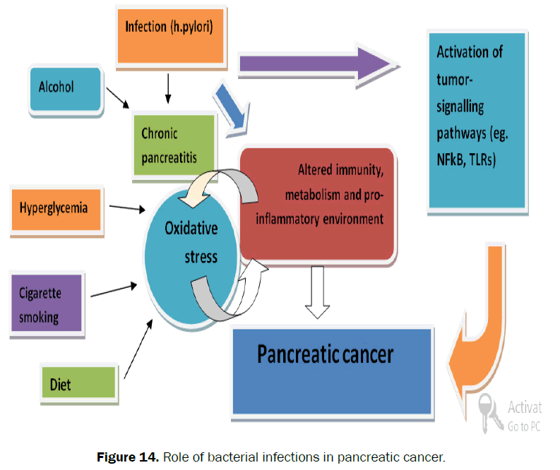 nursing-health-sciences-pancreatic-cancer