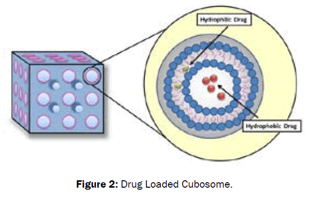 pharmaceutical-sciences-Drug