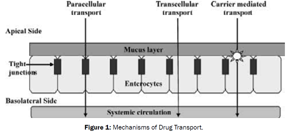 pharmaceutical-sciences-Mechanisms