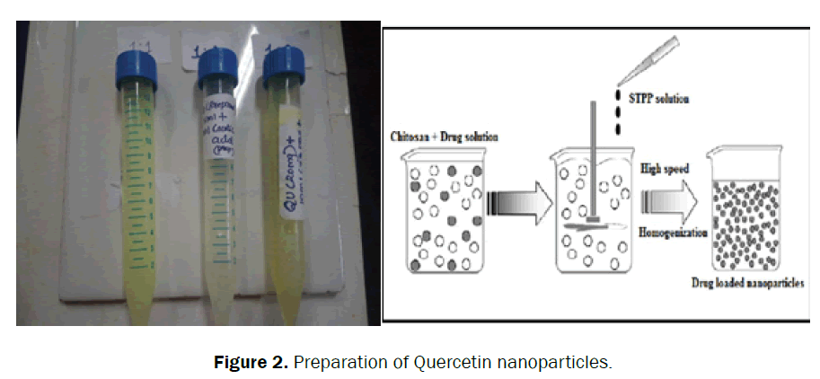 pharmaceutical-sciences-Quercetin