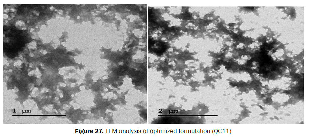 pharmaceutical-sciences-TEM