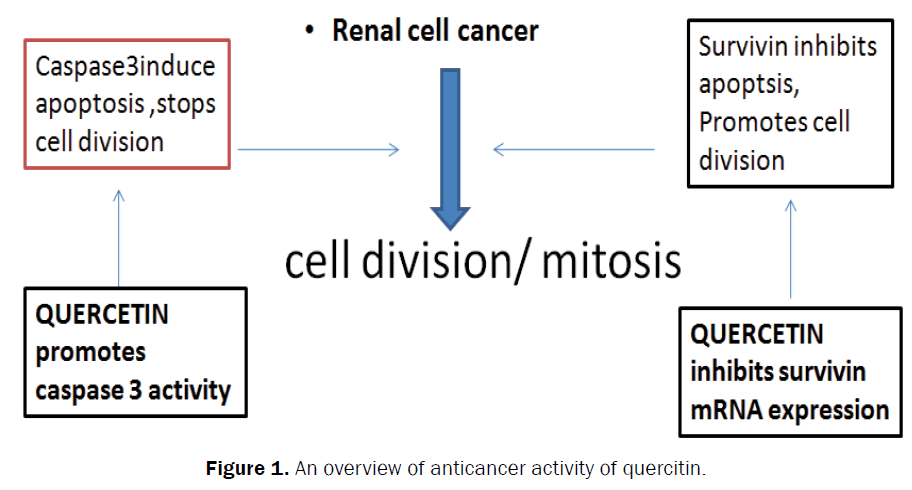 pharmaceutical-sciences-anticancer