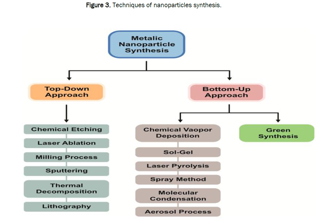 pharmacology-toxicological-studies-synthesis