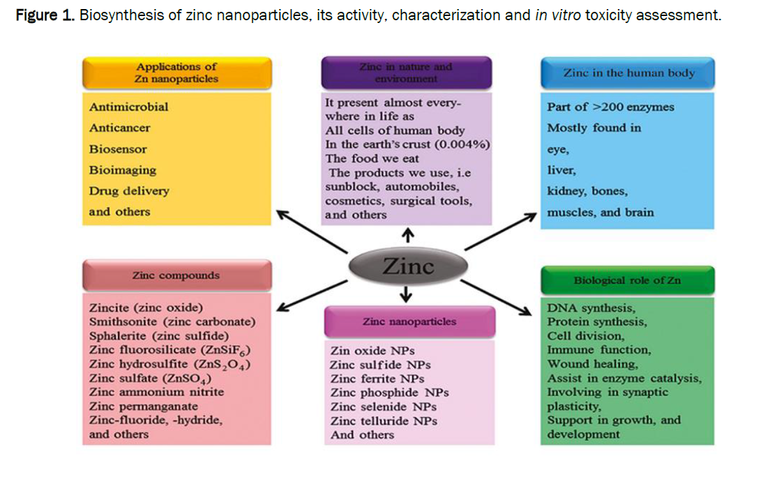 pharmacology-toxicological-studies-zinc