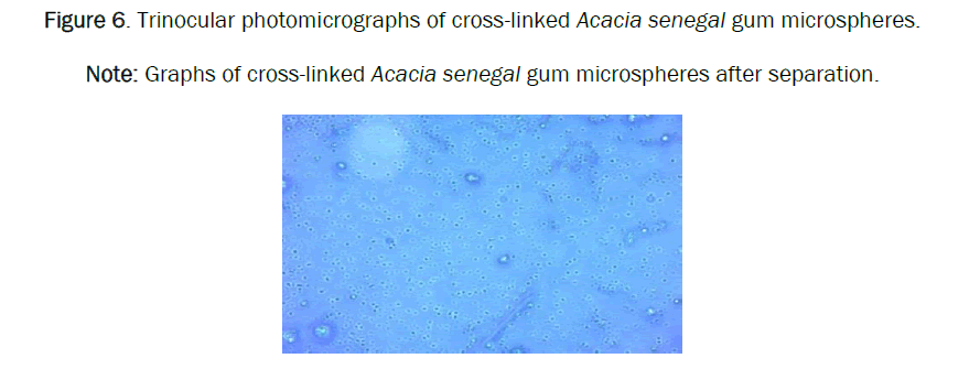 pharmacy-pharmaceutical-photomicrographs