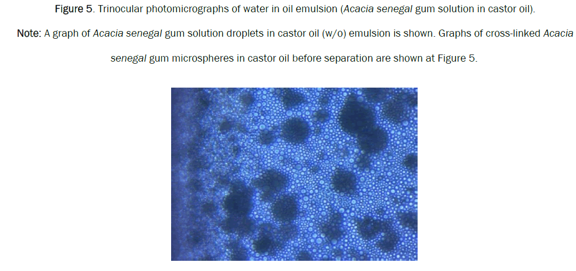 pharmacy-pharmaceutical-separation