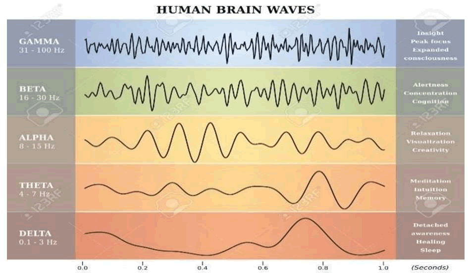 JET-Brain