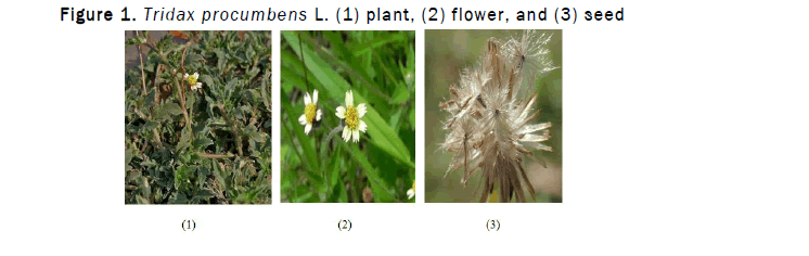 JPRPC-plant