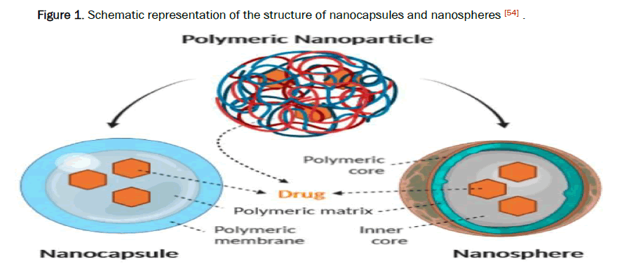 Pharmaceutical-Sciences-nanocapsules