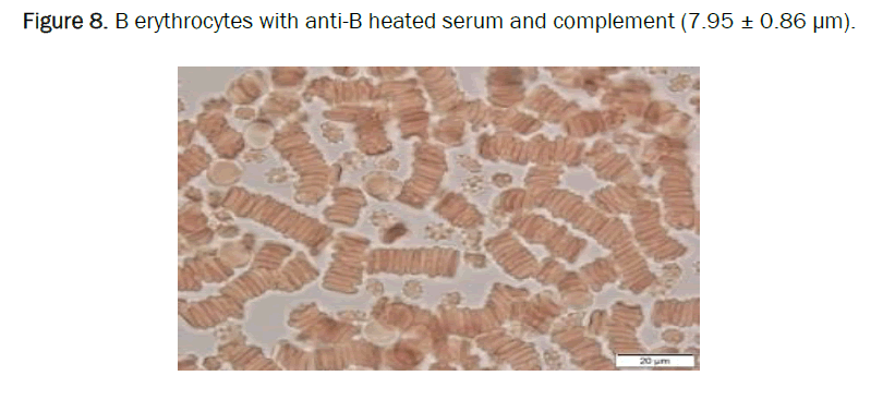 biology-anti