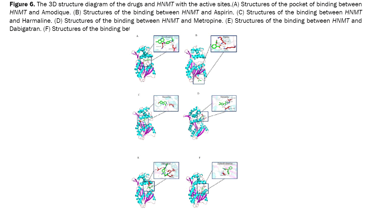 biology-binding