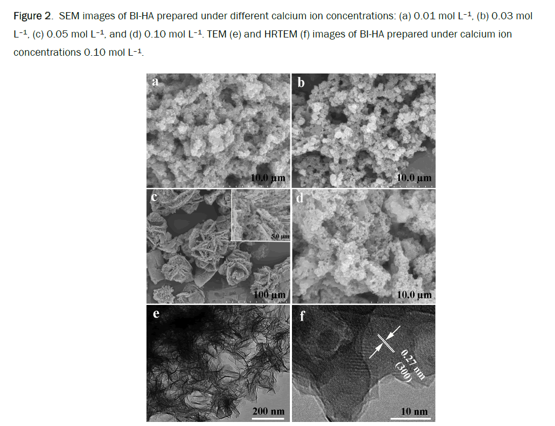 biology-calcium