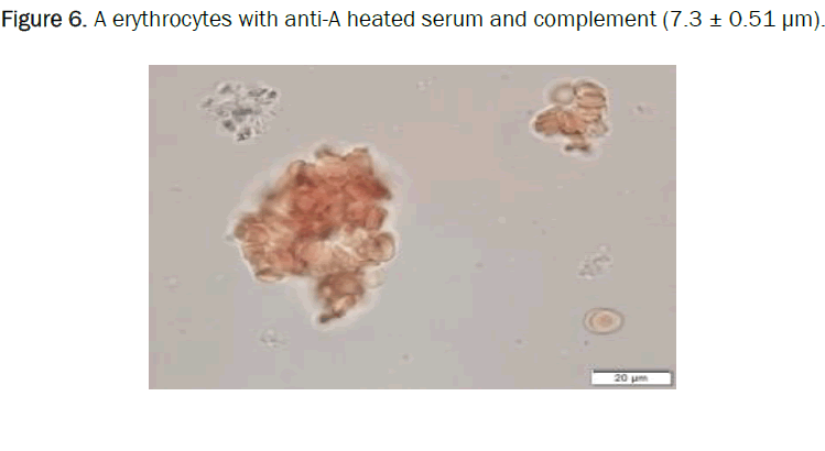 biology-complement