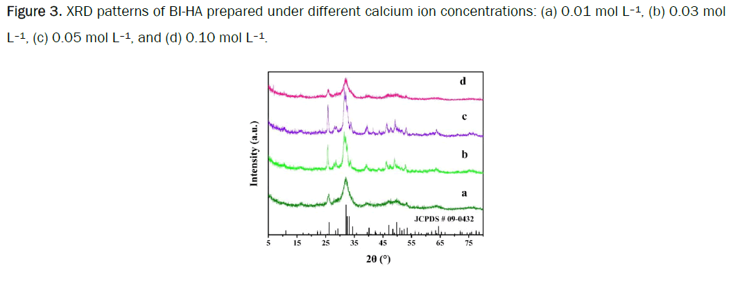 biology-concentrations