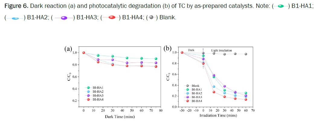 biology-degradation