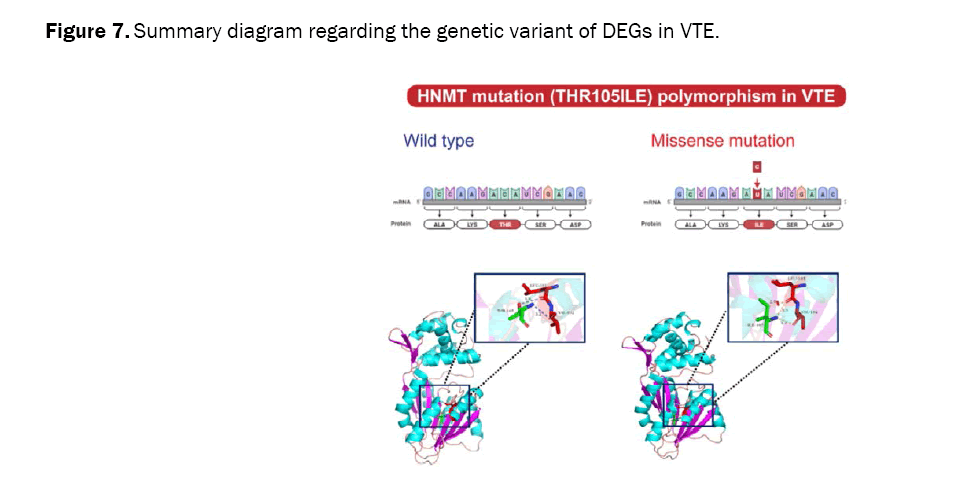 biology-genetic