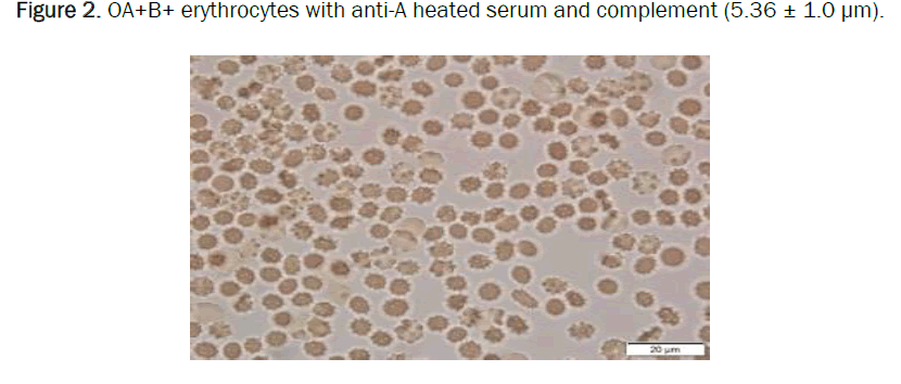 biology-heated